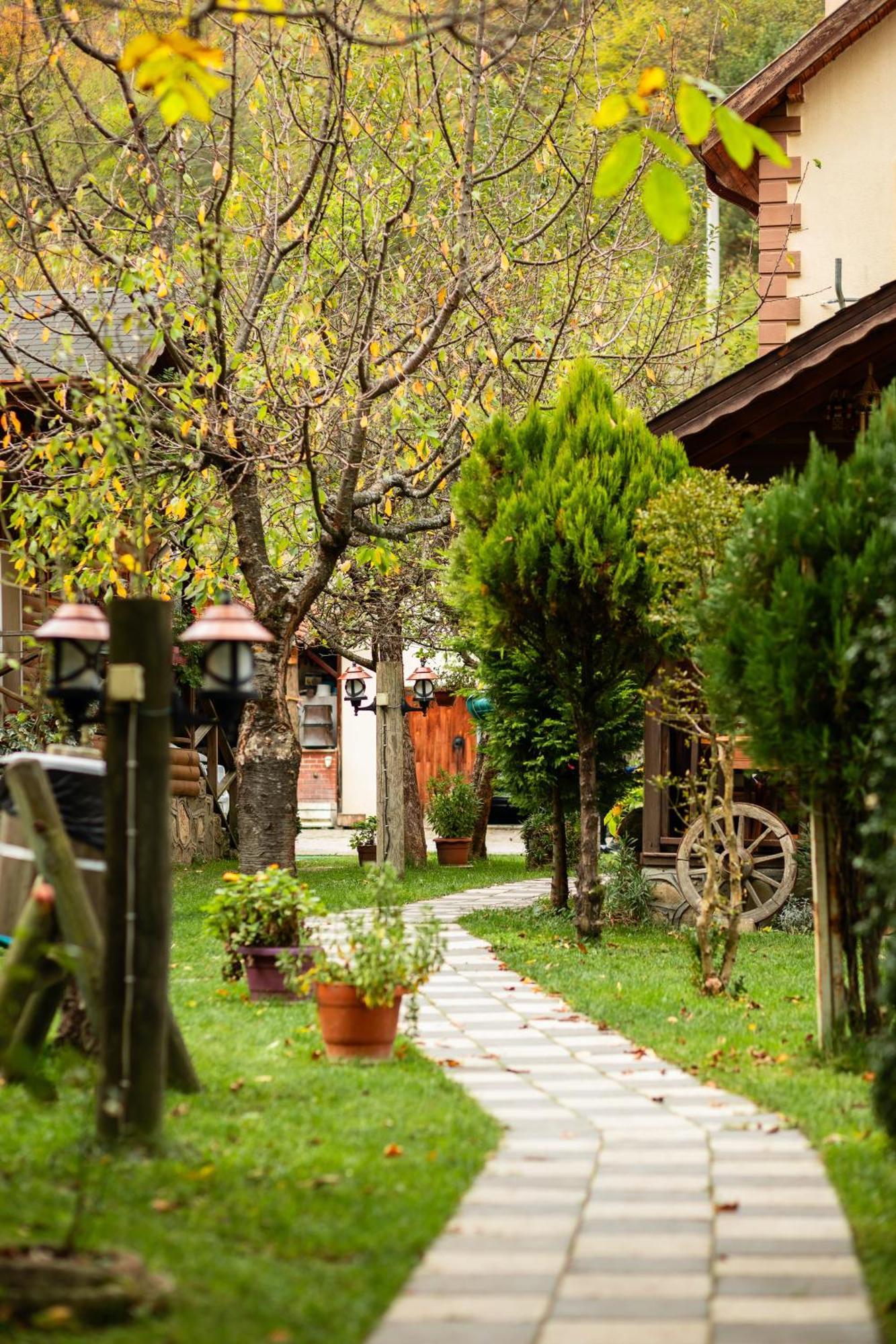Abant Doga Koeskue Bolu Exterior foto